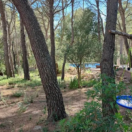 Aldeamia, Forest, Mountain View, Beach At 8 Min Vilanova de Escornalbou Extérieur photo