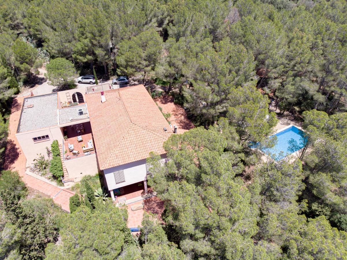 Bed and breakfast Aldeamia, Forest, Mountain View, At 8 Min