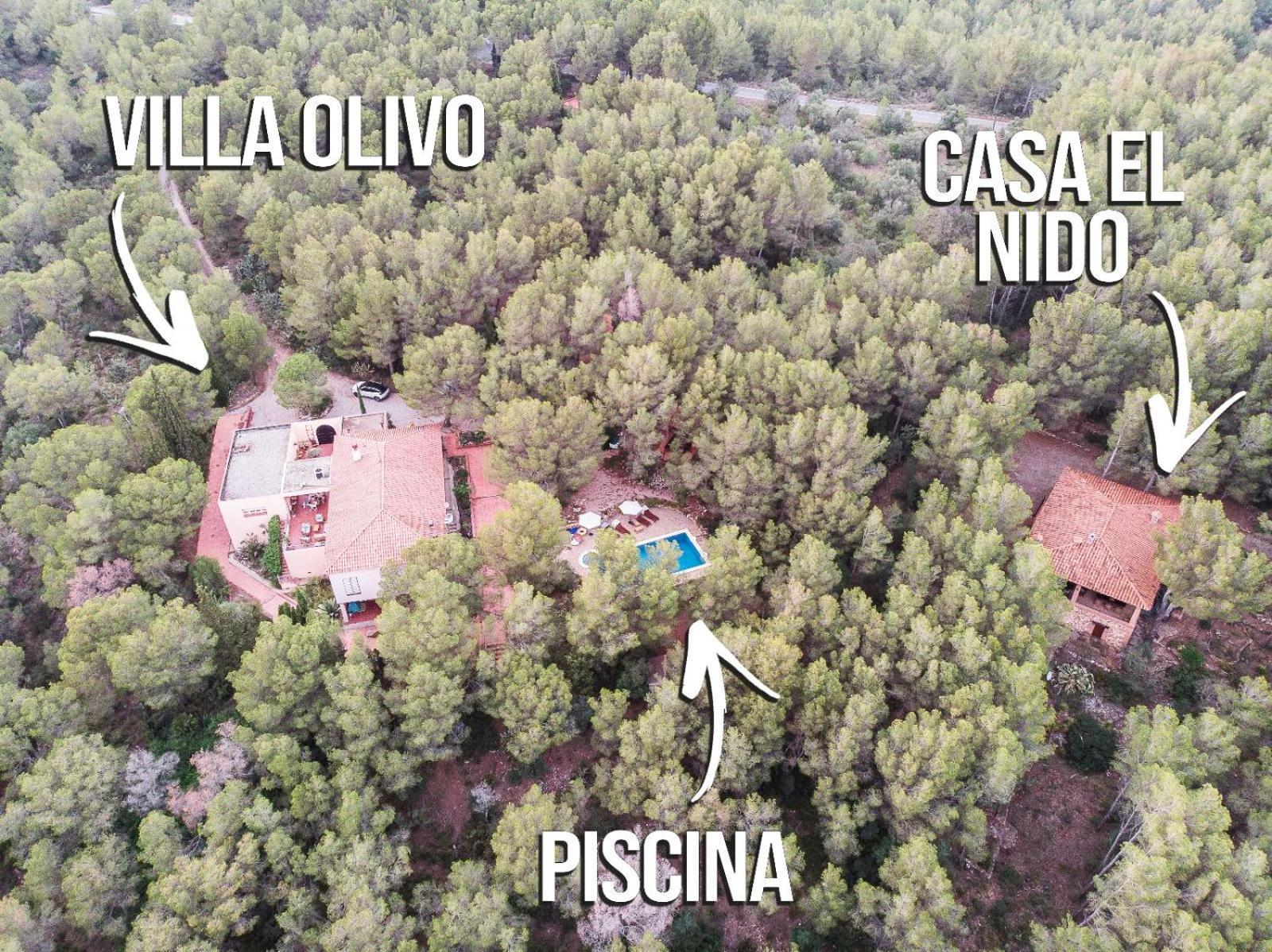 Aldeamia, Forest, Mountain View, At 8 Min *